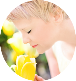 gallery/tulips-635263-1